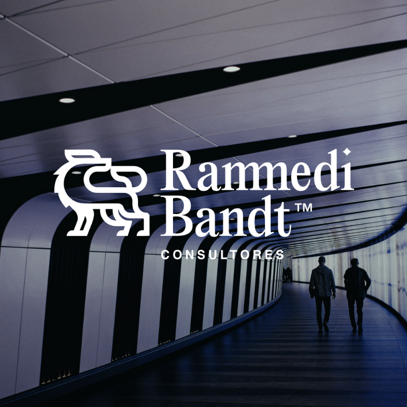 Rammedi Bandt Consultores