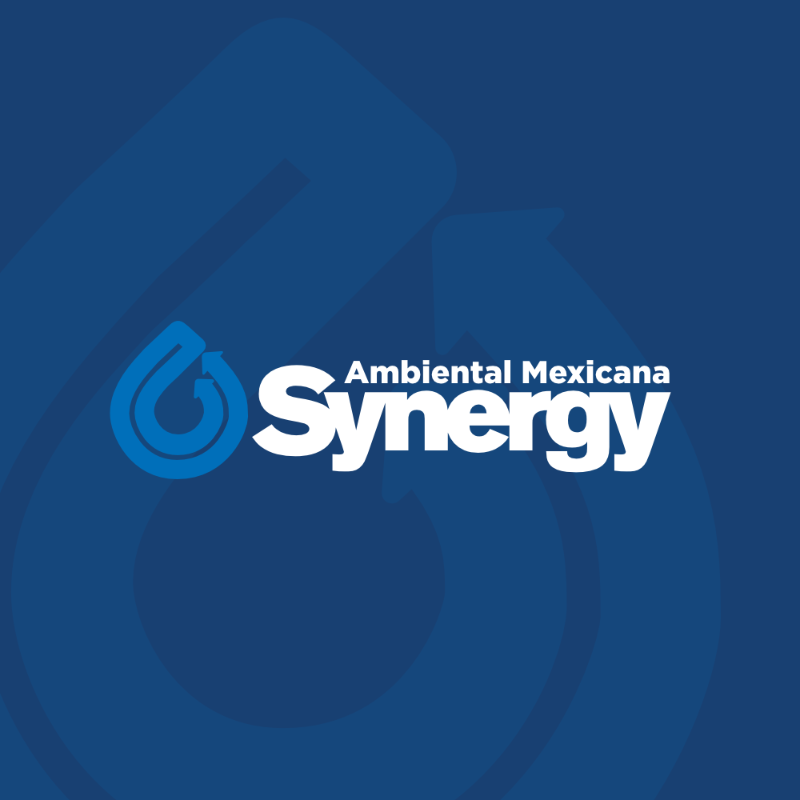 Synergy Ambiental Mexicana